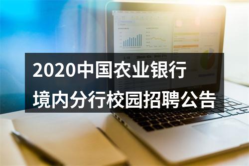 2020中国农业银行境内分行校园招聘公告 图片