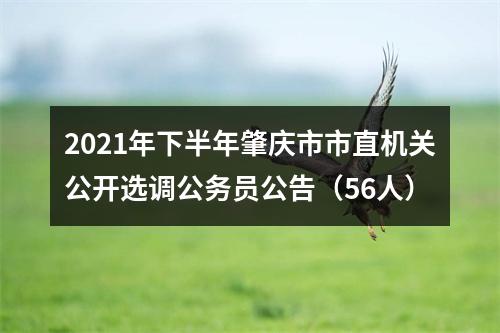 2021年下半年肇庆市市直机关公开选调公务员公告（56人） 图片