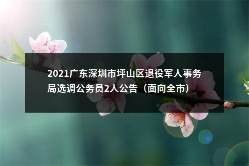 2021广东深圳市坪山区退役军人事务局选调公务员2人公告（面向全市） 图片