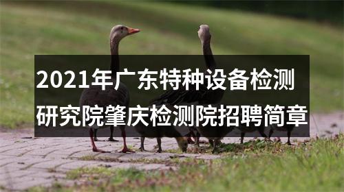 2021年广东特种设备检测研究院肇庆检测院招聘简章 图片